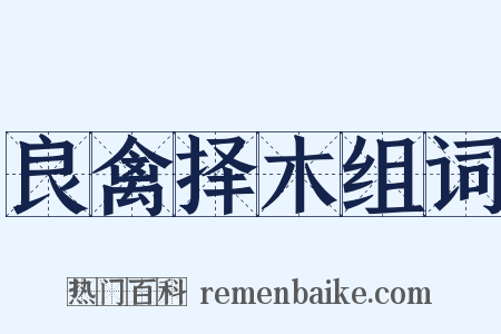 良禽择木组词是什么意思的图片